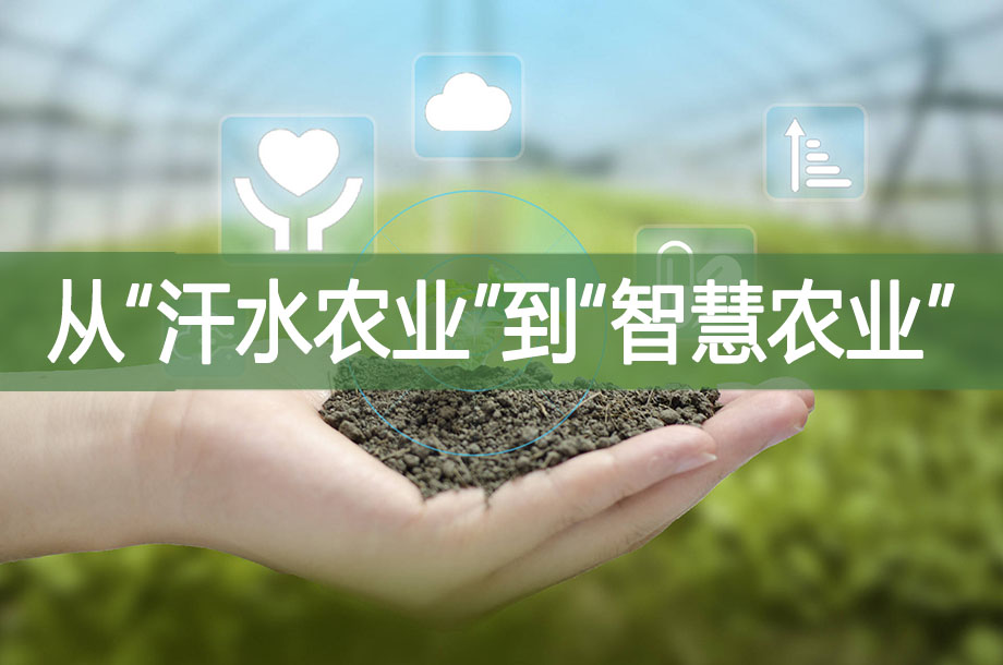 從“汗水農(nóng)業(yè)”到“智慧農(nóng)業(yè)”