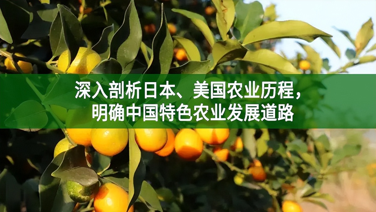 深入剖析日本、美國(guó)農(nóng)業(yè)歷程，明確中國(guó)特色農(nóng)業(yè)發(fā)展道路