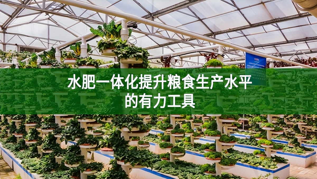 水肥一體化提升糧食生產水平的有力工具