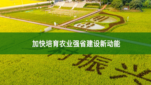 加快培育農業強省建設新動能