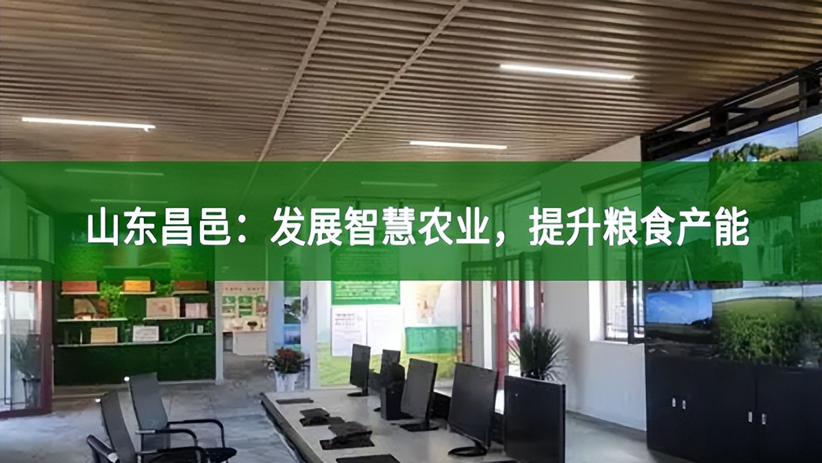 山東昌邑：發(fā)展智慧農(nóng)業(yè)，提升糧食產(chǎn)能