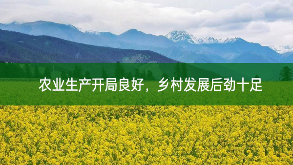 農業生產開局良好，鄉村發展后勁十足