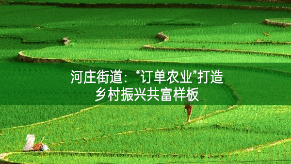 河莊街道：“訂單農業”打造鄉村振興共富樣板