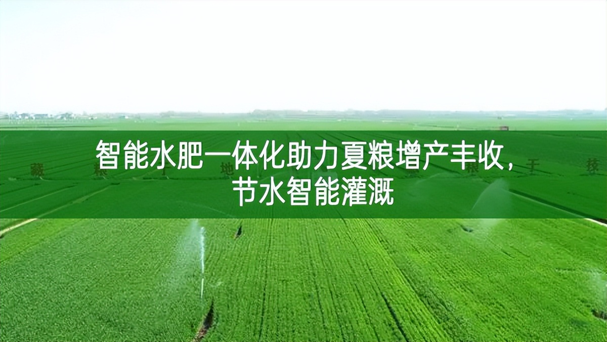 智能水肥一體化助力夏糧增產豐收，節水智能灌溉