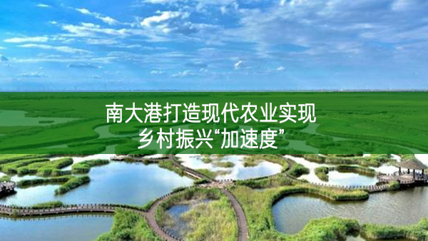 南大港打造現(xiàn)代農(nóng)業(yè)實(shí)現(xiàn)鄉(xiāng)村振興“加速度”