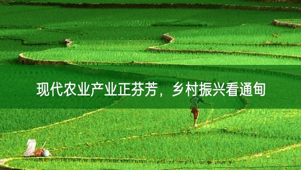 現(xiàn)代農業(yè)產業(yè)正芬芳，鄉(xiāng)村振興看通甸