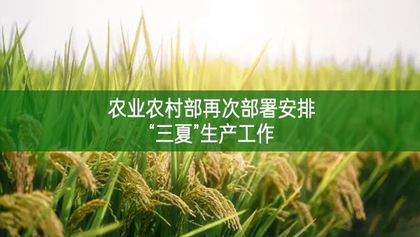 農(nóng)業(yè)農(nóng)村部再次部署安排“三夏”生產(chǎn)工作