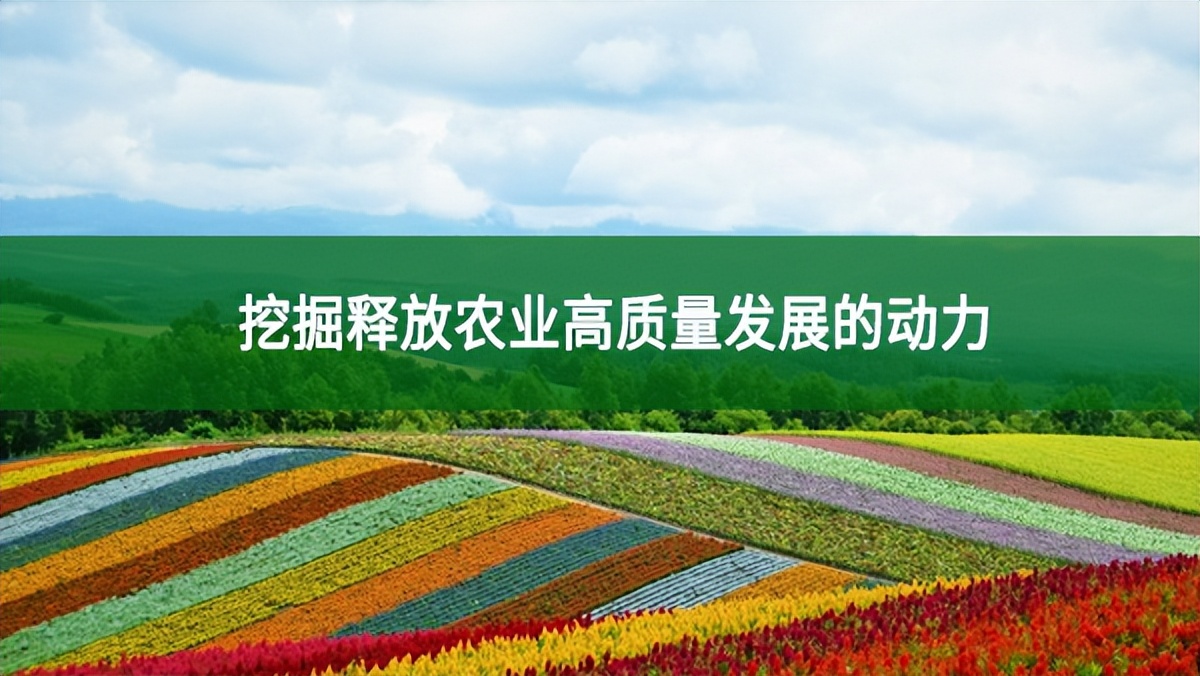 挖掘釋放農業高質量發展的動力