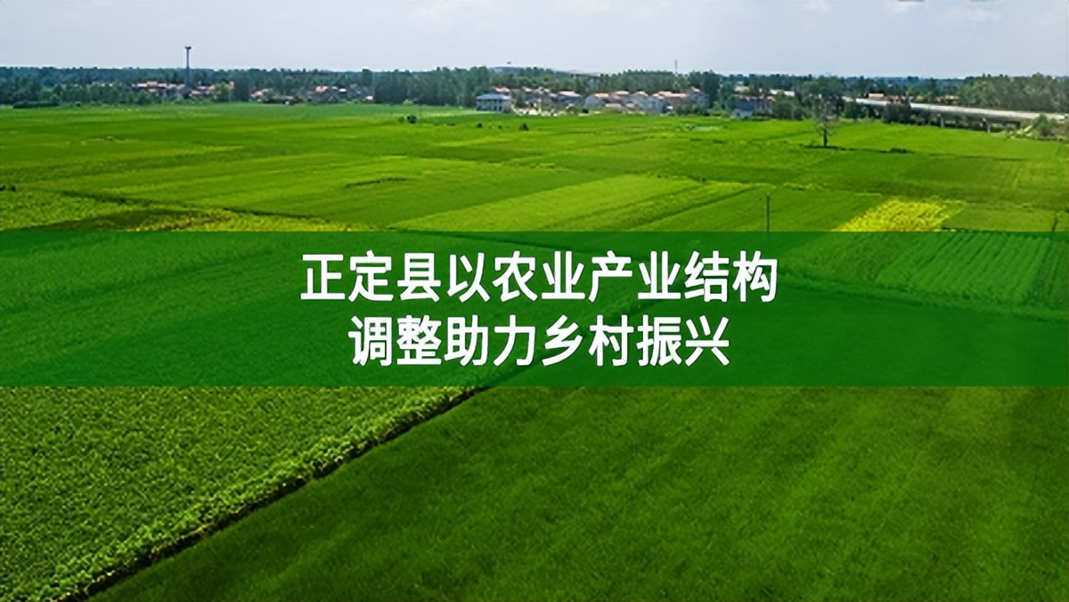 正定縣以農業產業結構調整助力鄉村振興
