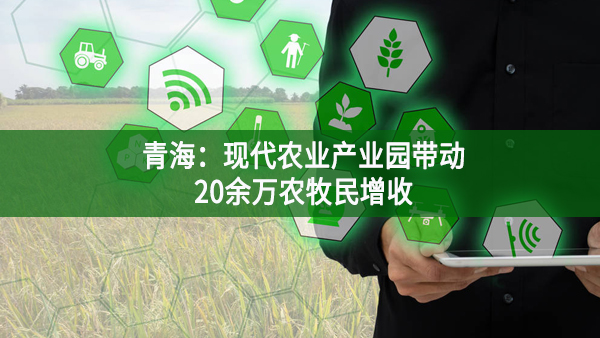 青海：現(xiàn)代農(nóng)業(yè)產(chǎn)業(yè)園帶動20余萬農(nóng)牧民增收