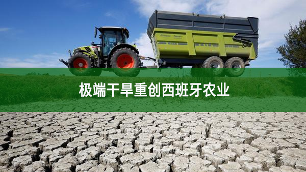 極端干旱重創(chuàng)西班牙農(nóng)業(yè)