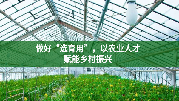 做好“選育用”，以農業人才賦能鄉村振興
