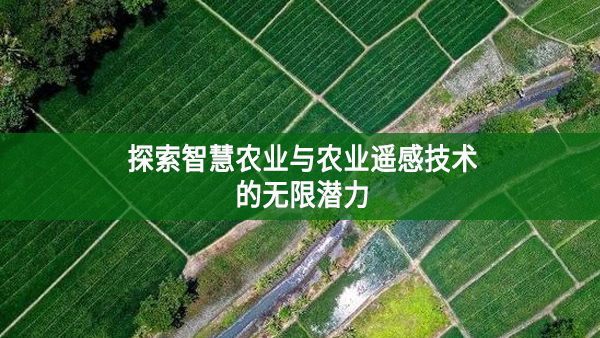 探索智慧農(nóng)業(yè)與農(nóng)業(yè)遙感技術(shù)的無限潛力