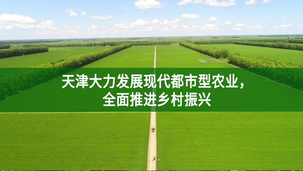 天津大力發(fā)展現(xiàn)代都市型農(nóng)業(yè)，全面推進鄉(xiāng)村振興