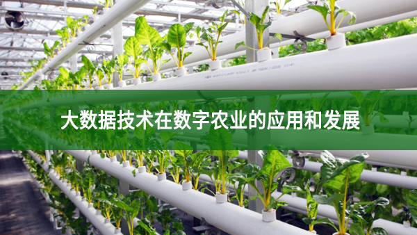 大數(shù)據(jù)技術(shù)在數(shù)字農(nóng)業(yè)的應(yīng)用和發(fā)展