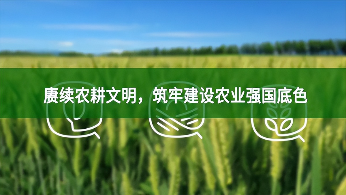 賡續(xù)農(nóng)耕文明，筑牢建設(shè)農(nóng)業(yè)強(qiáng)國底色