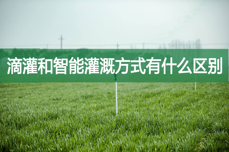 滴灌和智能灌溉方式有什么區(qū)別?