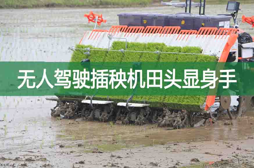 無人駕駛插秧機(jī)田頭顯身手
