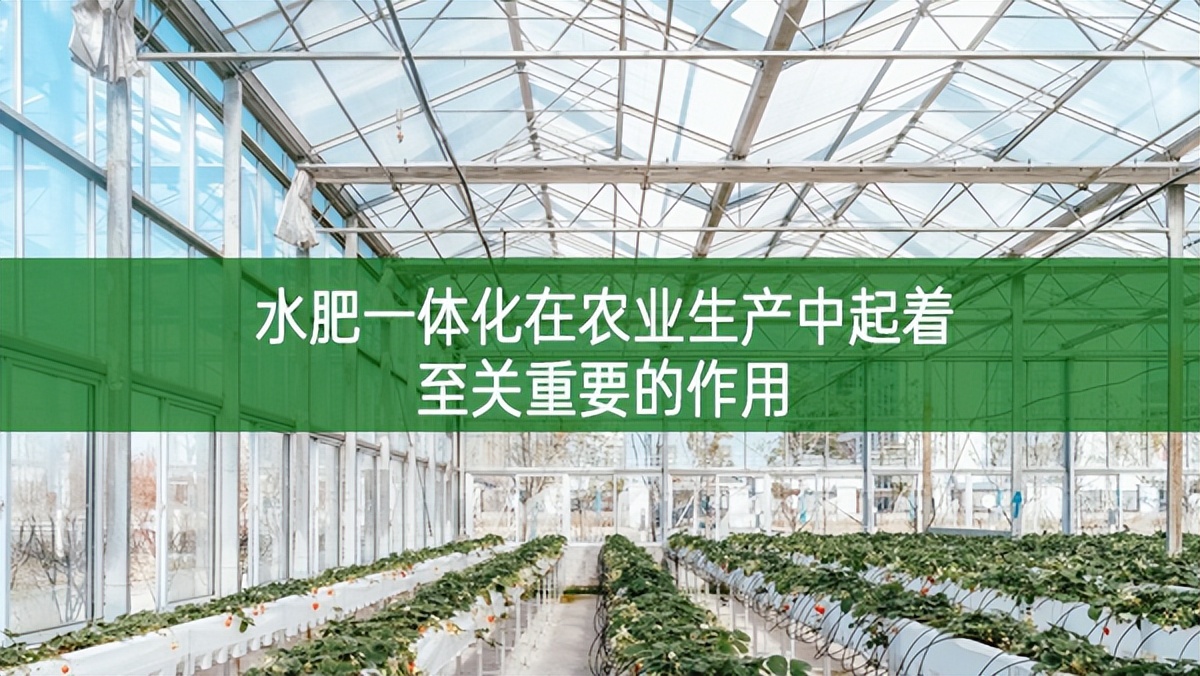 水肥一體化在農業生產中起著至關重要的作用