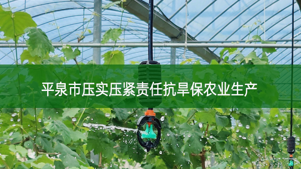 平泉市壓實壓緊責任抗旱保農業生產