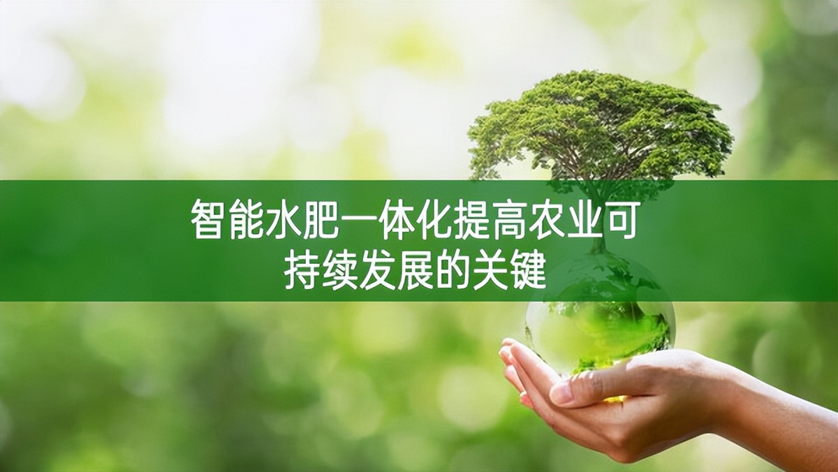 智能水肥一體化提高農(nóng)業(yè)可持續(xù)發(fā)展的關(guān)鍵