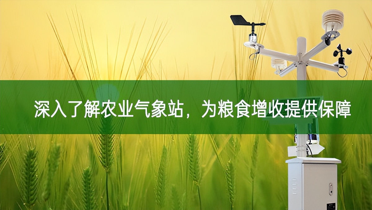 深入了解農業氣象站，為糧食增收提供保障