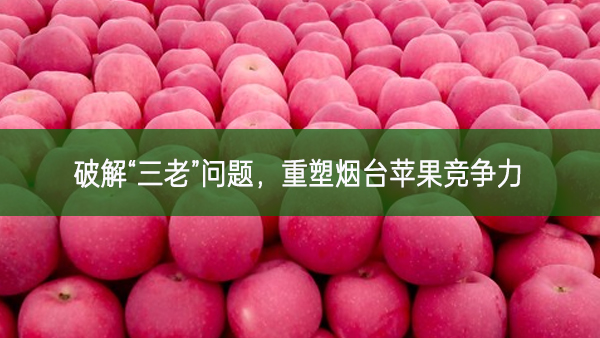 破解“三老”問題，重塑煙臺蘋果競爭力