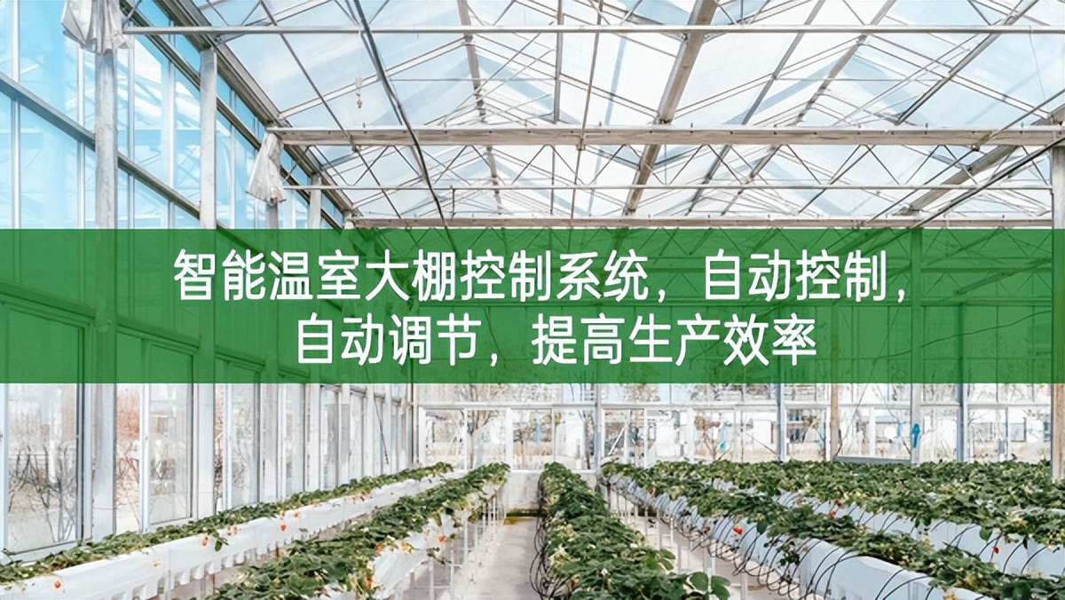 智能溫室大棚控制系統，自動控制，自動調節，提高生產效率
