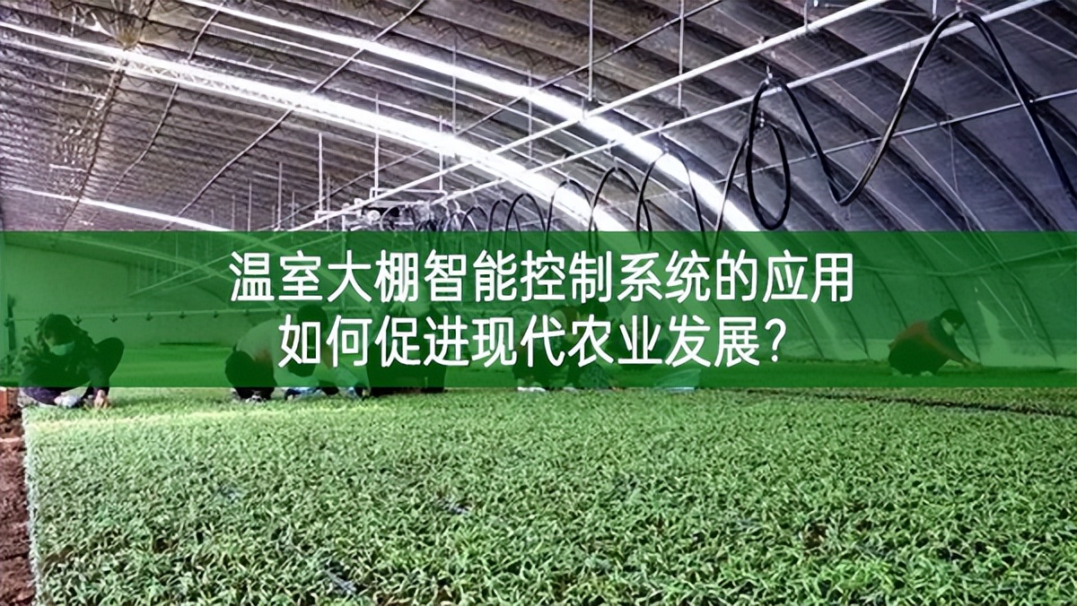 溫室大棚智能控制系統(tǒng)的應(yīng)用如何促進(jìn)現(xiàn)代農(nóng)業(yè)發(fā)展?
