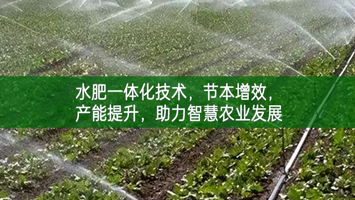 水肥一體化技術(shù)，節(jié)本增效，產(chǎn)能提升，助力智慧農(nóng)業(yè)發(fā)展