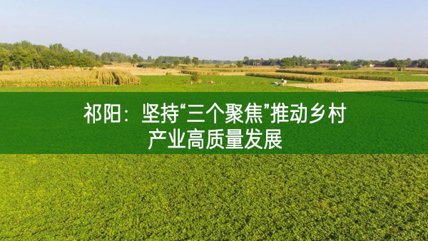 祁陽：堅持“三個聚焦”推動鄉(xiāng)村產(chǎn)業(yè)高質(zhì)量發(fā)展