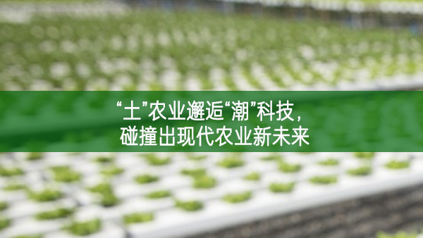 “土”農(nóng)業(yè)邂逅“潮”科技，碰撞出現(xiàn)代農(nóng)業(yè)新未來