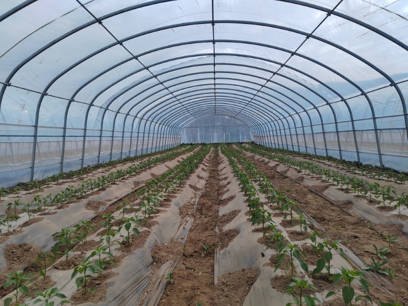 靜寧：生態循環農業 走出致富新路子