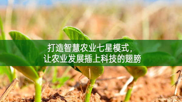 打造智慧農業七星模式，讓農業發展插上科技的翅膀