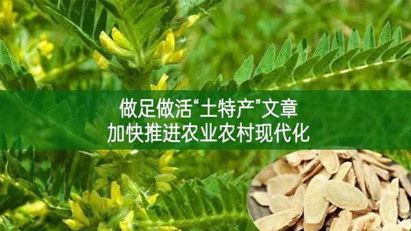 做足做活“土特產(chǎn)”文章 加快推進(jìn)農(nóng)業(yè)農(nóng)村現(xiàn)代化