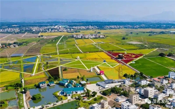 提高全民全社會(huì)數(shù)字素養(yǎng)和技能，培育城鄉(xiāng)融合發(fā)展的主體力量