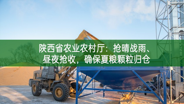 陜西省農(nóng)業(yè)農(nóng)村廳：搶晴戰(zhàn)雨、晝夜搶收，確保夏糧顆粒歸倉