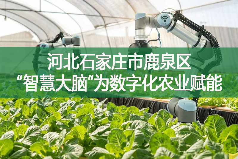 河北石家莊市鹿泉區(qū)“智慧大腦”為數(shù)字化農(nóng)業(yè)賦能