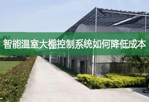 智能溫室大棚控制系統(tǒng)如何降低成本