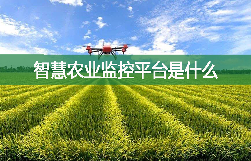 智慧農(nóng)業(yè)監(jiān)控平臺是什么