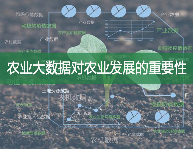 農(nóng)業(yè)大數(shù)據(jù)對農(nóng)業(yè)發(fā)展的重要性