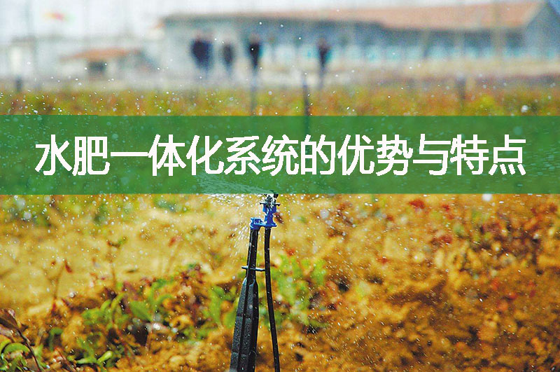 水肥一體化系統的優勢與特點
