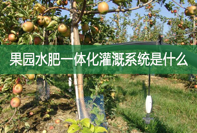 果園水肥一體化灌溉系統(tǒng)是什么