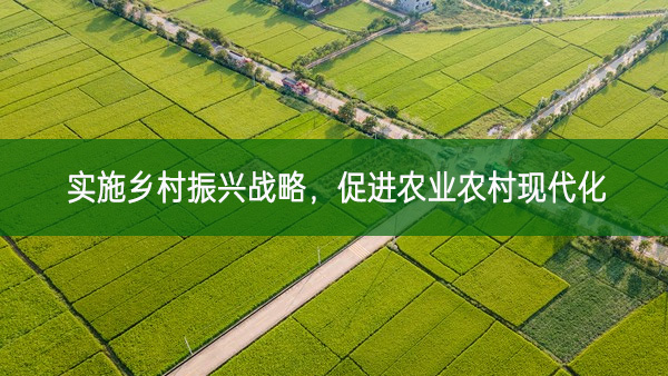 實施鄉村振興戰略，促進農業農村現代化