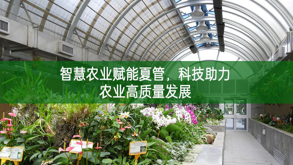 智慧農(nóng)業(yè)賦能夏管 科技助力農(nóng)業(yè)高質(zhì)量發(fā)展