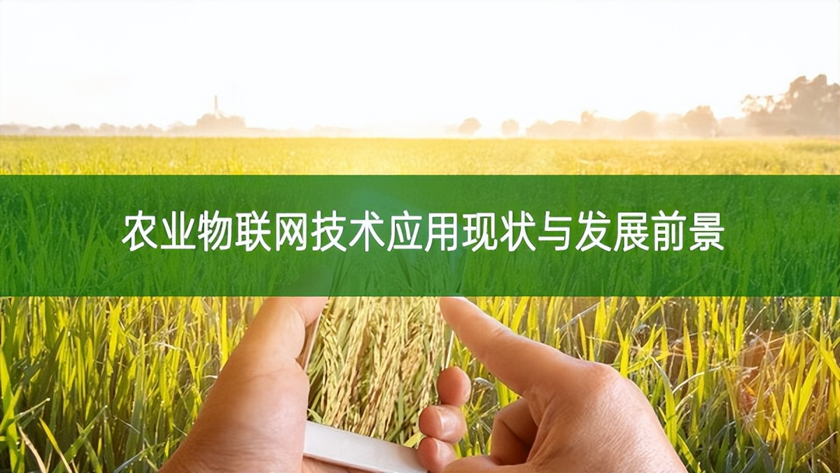 農業物聯網技術應用現狀與發展前景