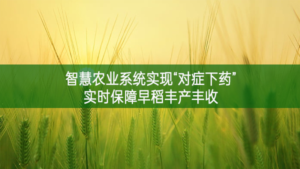 智慧農(nóng)業(yè)系統(tǒng)實(shí)現(xiàn)“對(duì)癥下藥” 實(shí)時(shí)保障早稻豐產(chǎn)豐收
