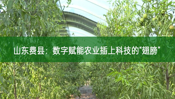 山東費縣：數(shù)字賦能農(nóng)業(yè)插上科技的“翅膀”