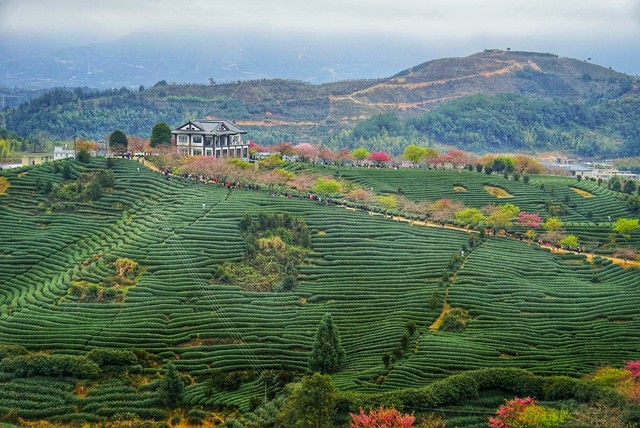 人工智能是智慧農(nóng)業(yè)新風(fēng)口