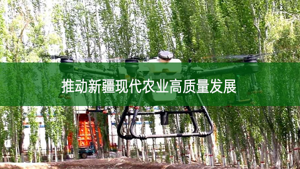 推動新疆現代農業高質量發展